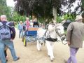rodho 2013 (66).jpg